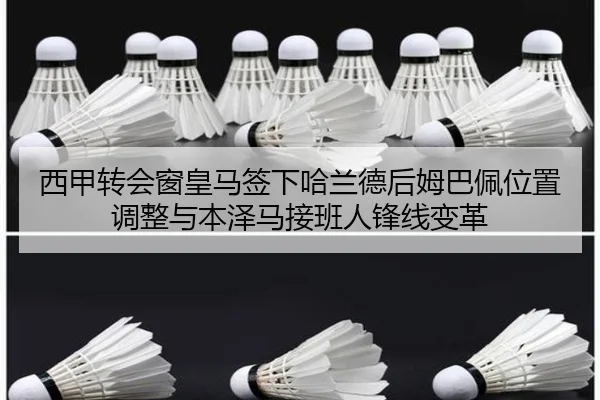 xi-jia-zhuan-hui-chuang-huang-ma-qian-xia-ha-lan-de-hou-mu-ba-pei-wei-zhi-tiao-zheng-yu-ben-ze-ma-jie-ban-ren-feng-xian-3-524.jpg